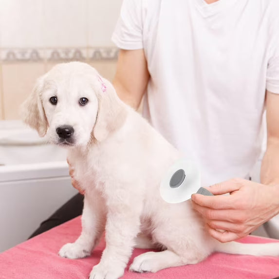 Dog Cat Pet Grooming Brush, Self Cleaning Shedding Brush