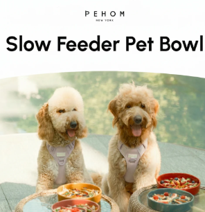Slow Feeder Dog Bowls